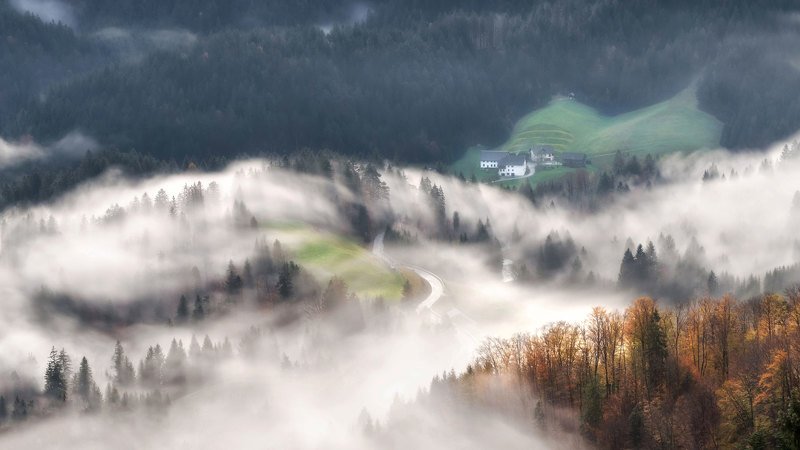 словения, slovenia, туманы словении, slovenia landscape, slovenia landscape photography Вьюга... фото превью