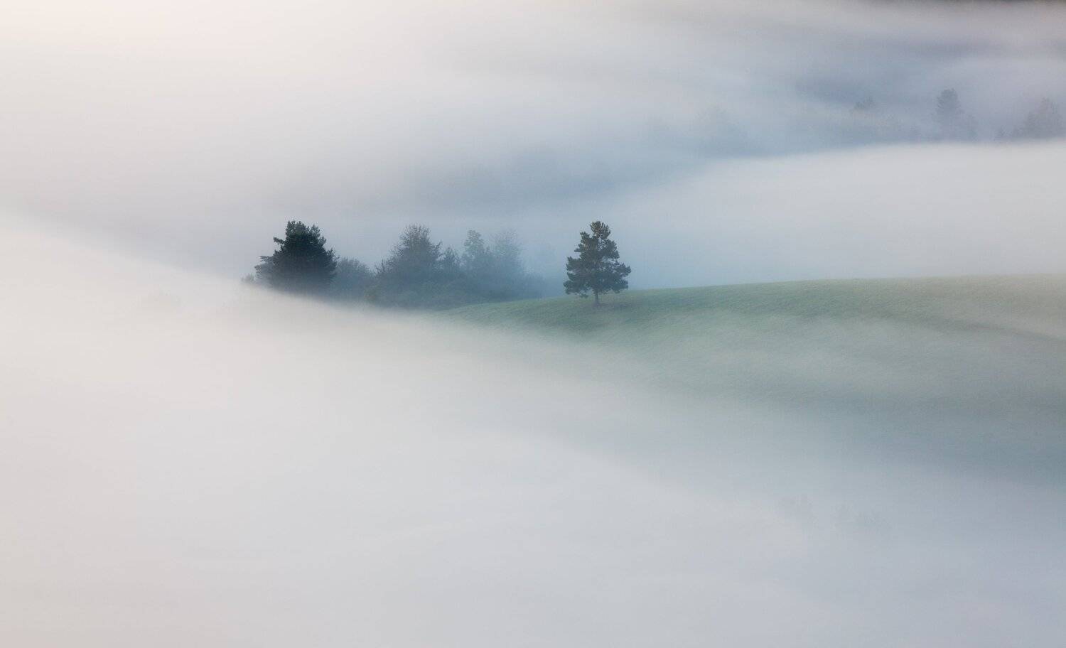 tree, fogg, mountains, beskid niski, autumn, morning,  Mirek Pruchnicki
