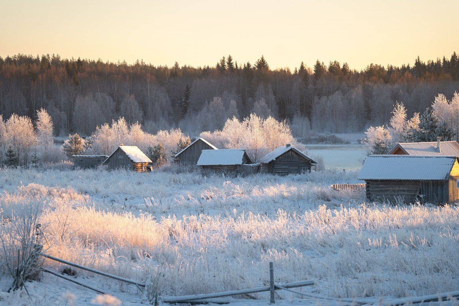 , Андрей Базанов