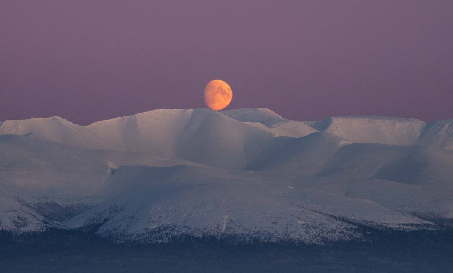пейзаж,россия,мурманская область,хибины,север,зима,никон, Виталий Истомин