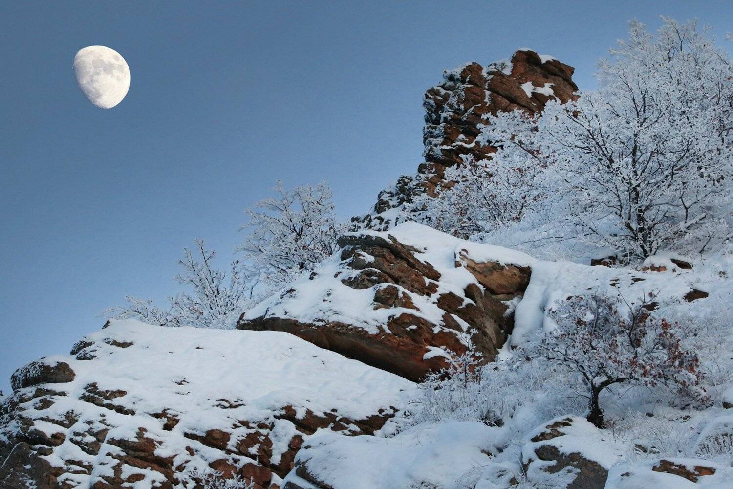 горы,луна,вечер,снег,зима,вершины,пейзаж,небо,деревья,дагестан,природа, Marat Magov
