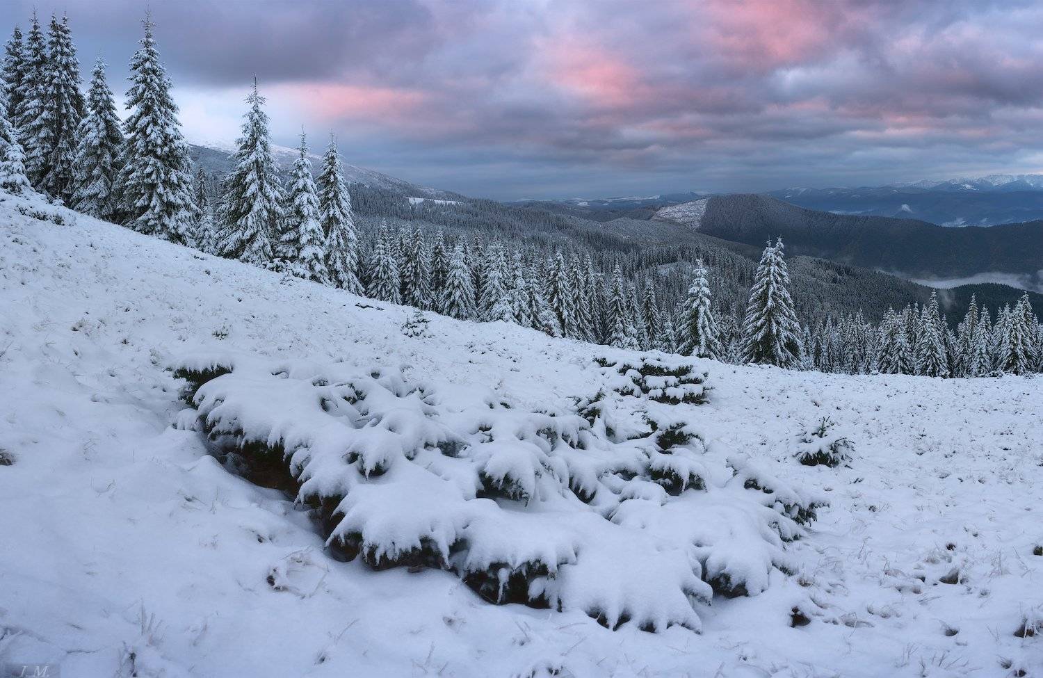 carpathians, morning, snow, panorama, pine trees, mountains, clouds, fog, winter, landscape, утро, карпаты, снег, горы, зима, снегопад, черногора, украина, панорама, путешествие, ели, облака, рассвет, туман, пейзаж, ukraine, Ivan Maljarenko 