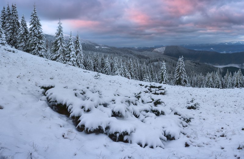 carpathians, morning, snow, panorama, pine trees, mountains, clouds, fog, winter, landscape, утро, карпаты, снег, горы, зима, снегопад, черногора, украина, панорама, путешествие, ели, облака, рассвет, туман, пейзаж, ukraine .. после снегопада .. фото превью