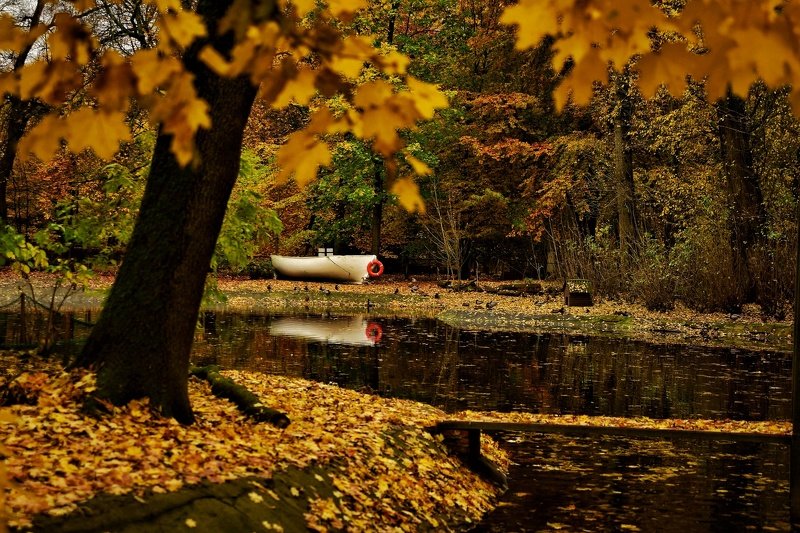 Лодка в осень фото превью