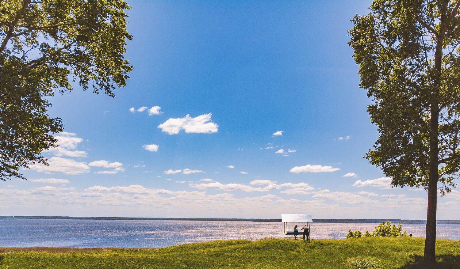 Поле,лес,природа,креативное фото,Профессиональное фото,Сергей Шевцов,Zap Shevtsov, Zapworld,zap-world,интересное,с неба,с дрона,высоко,яркое,цвета,необычное,угол,фото,профессиональная фотография, Sergey Shevtsov