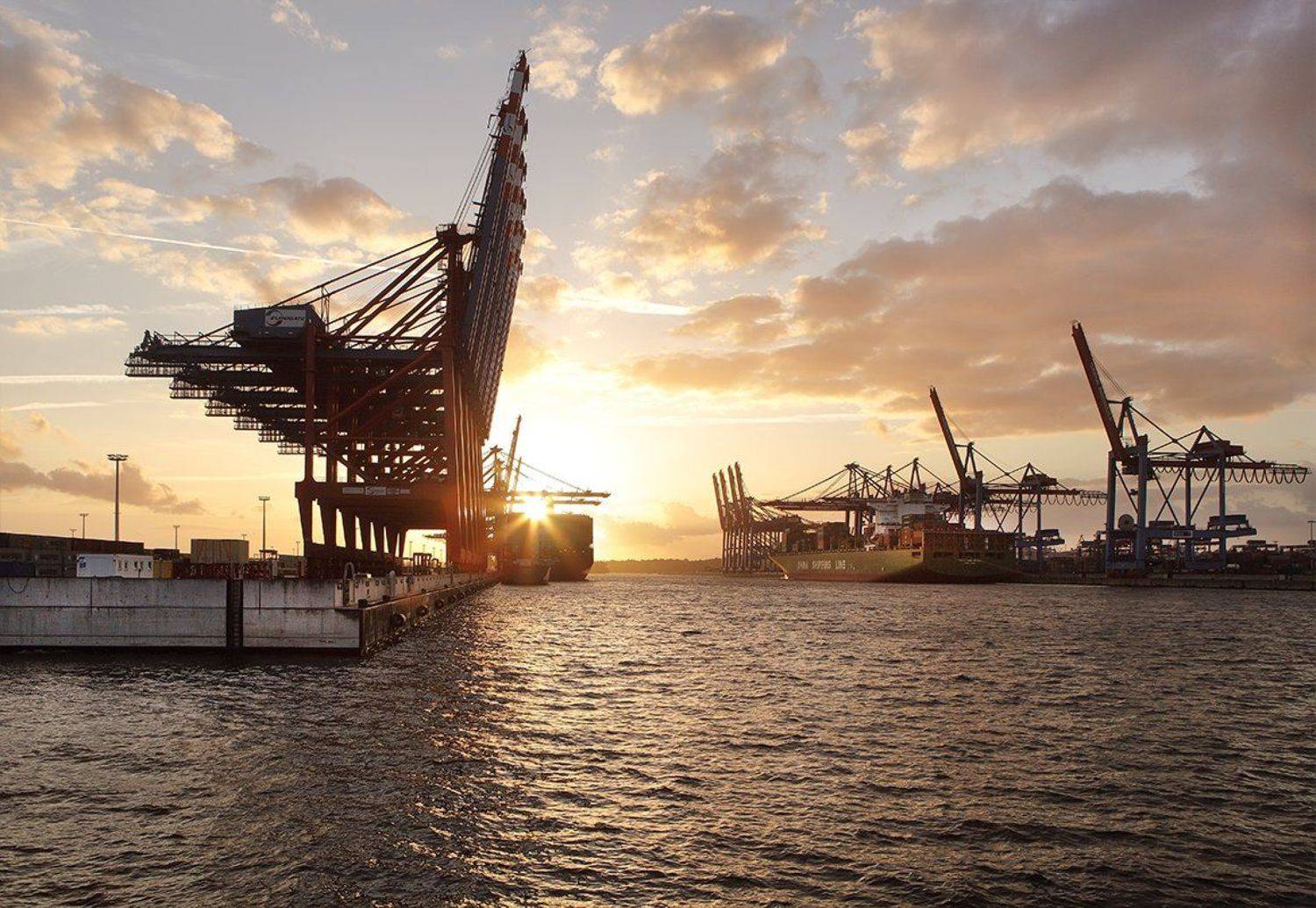 , Игорь Дубровский