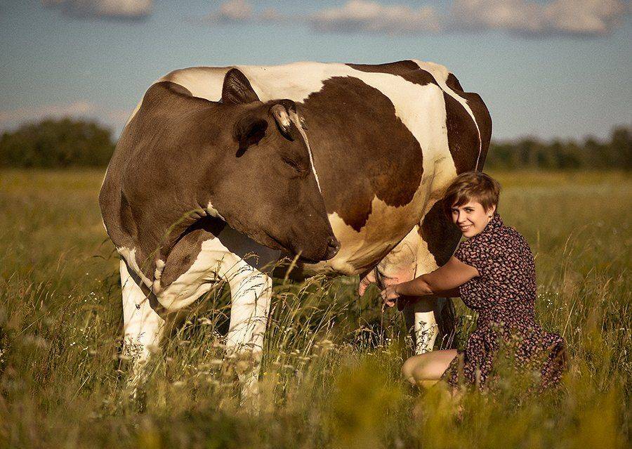 , Клименко Геннадий