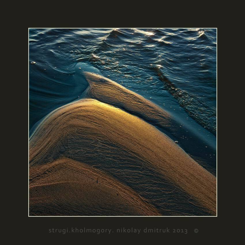 , николай дмитрук