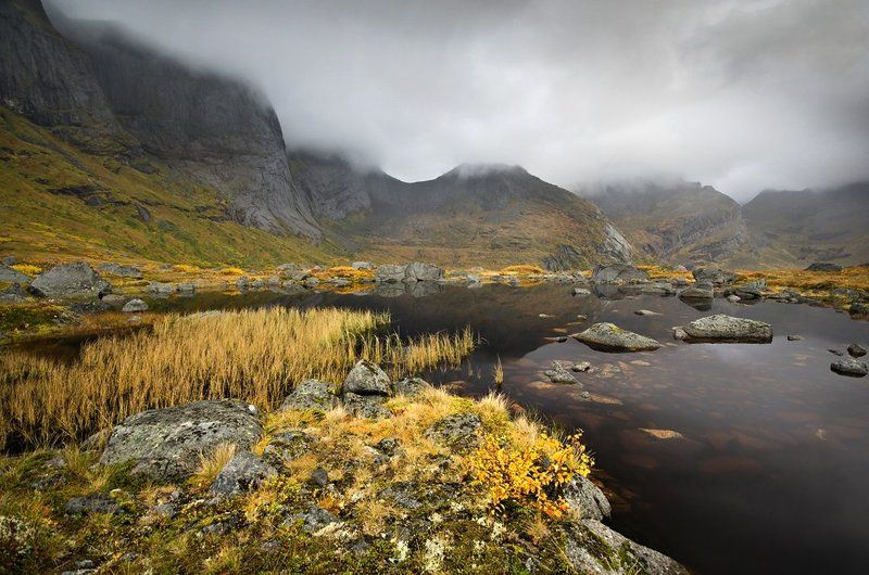 *** фото превью