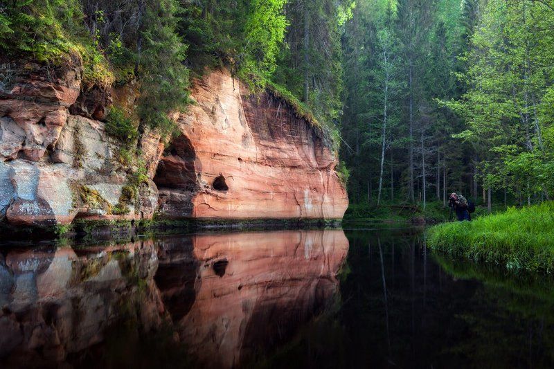 Низовья реки Брасла фото превью