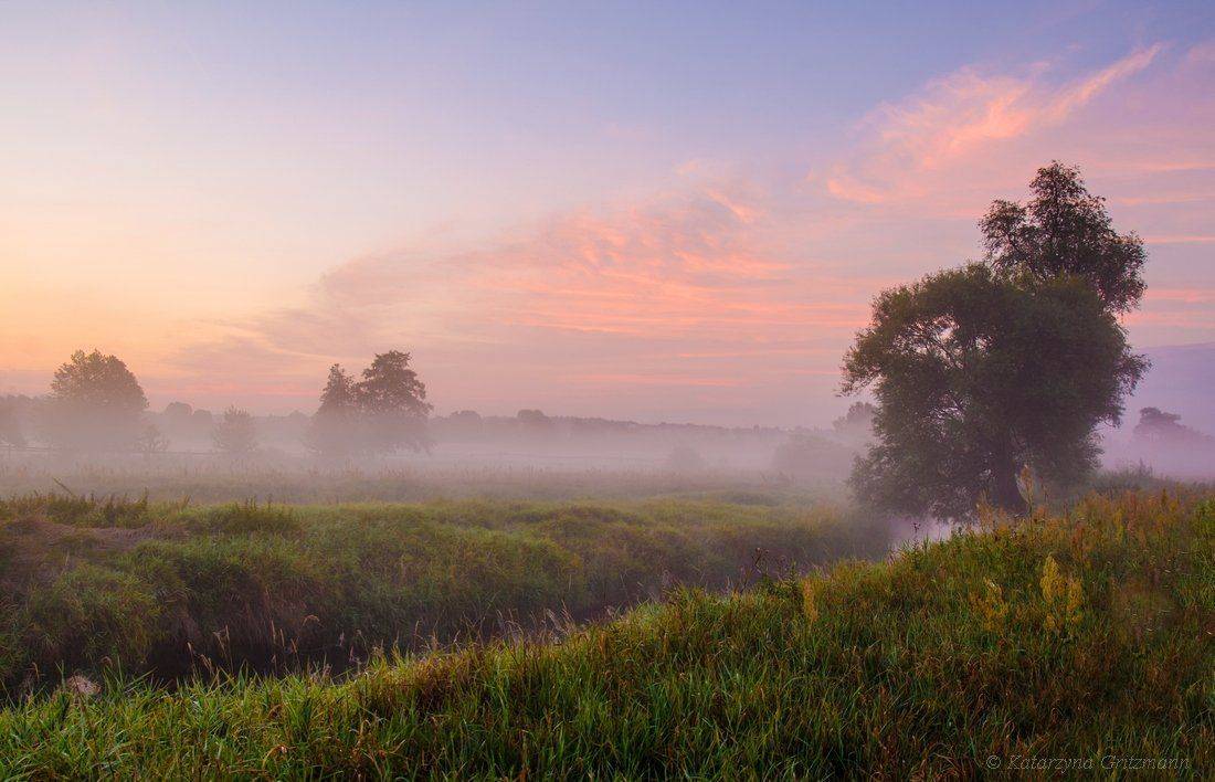 , Katarzyna Gritzmann