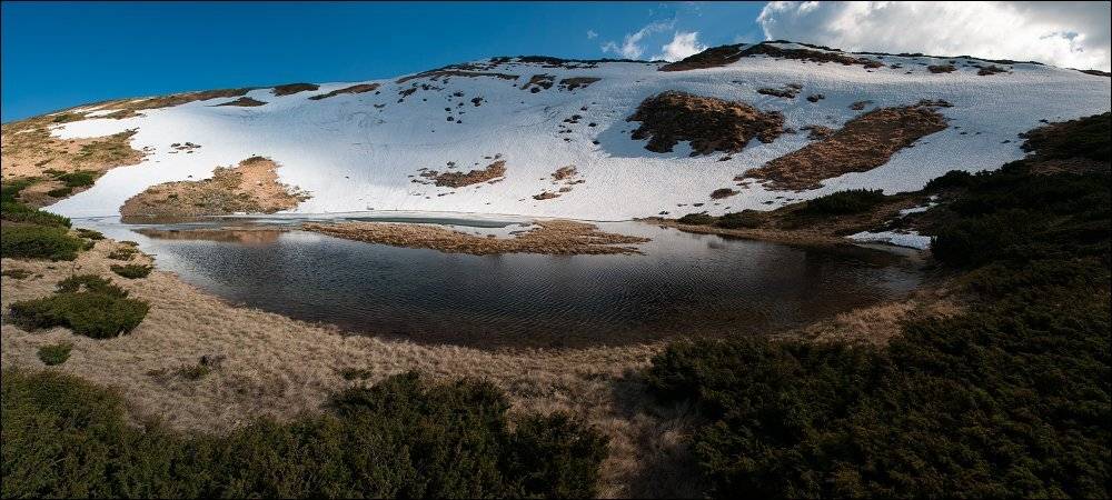 , Полищук И.В.