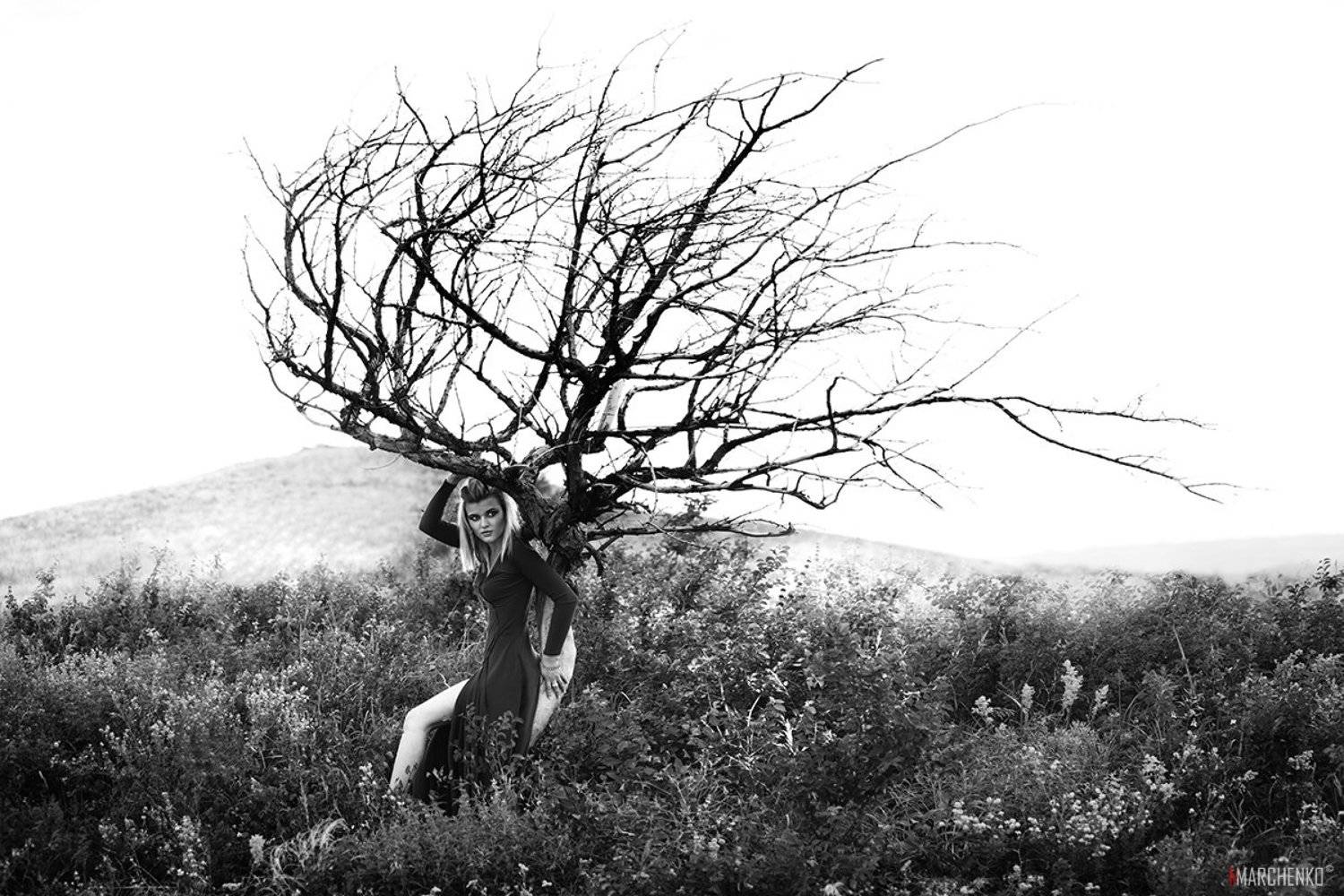 , Марченко Максим