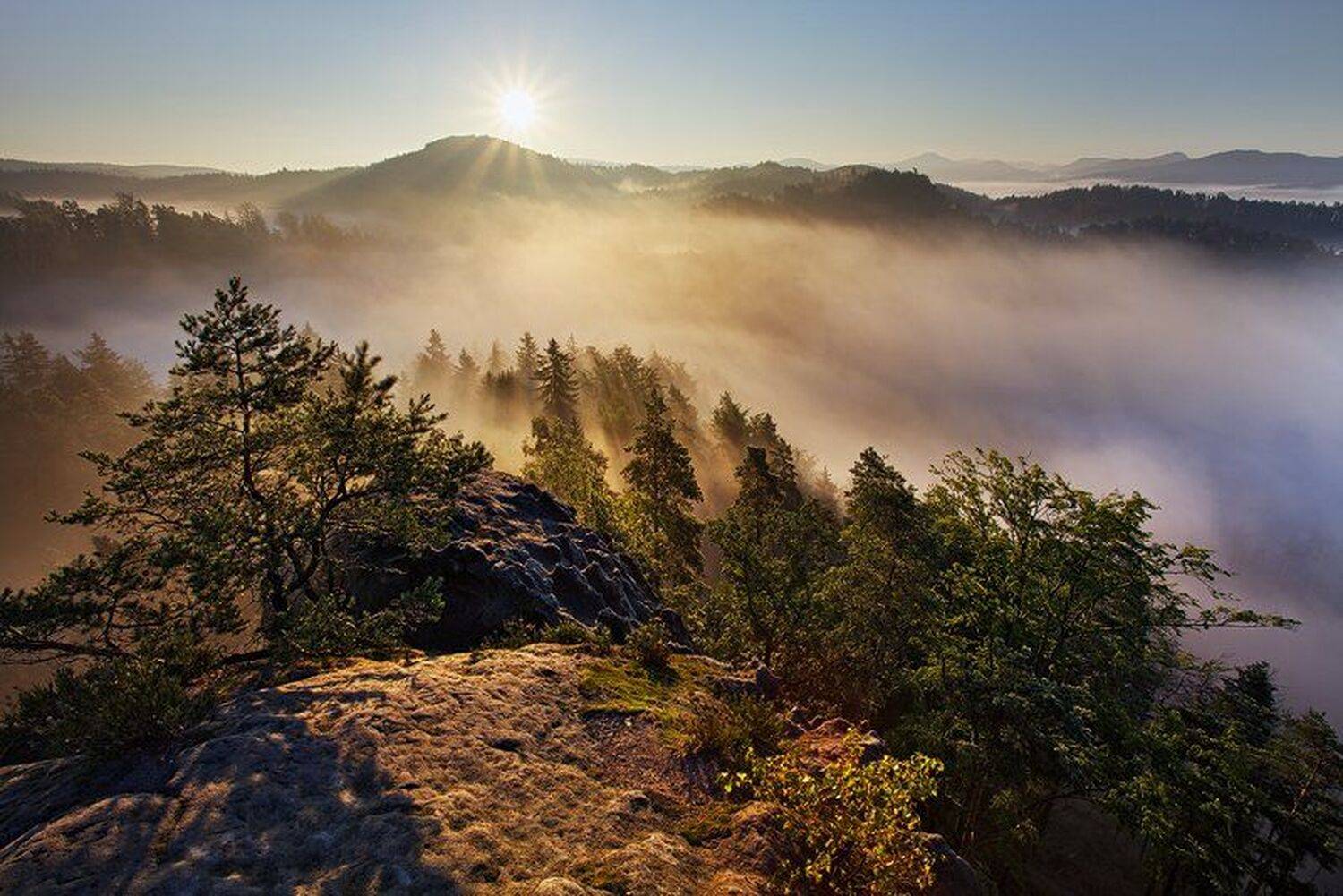 , Martin Rak