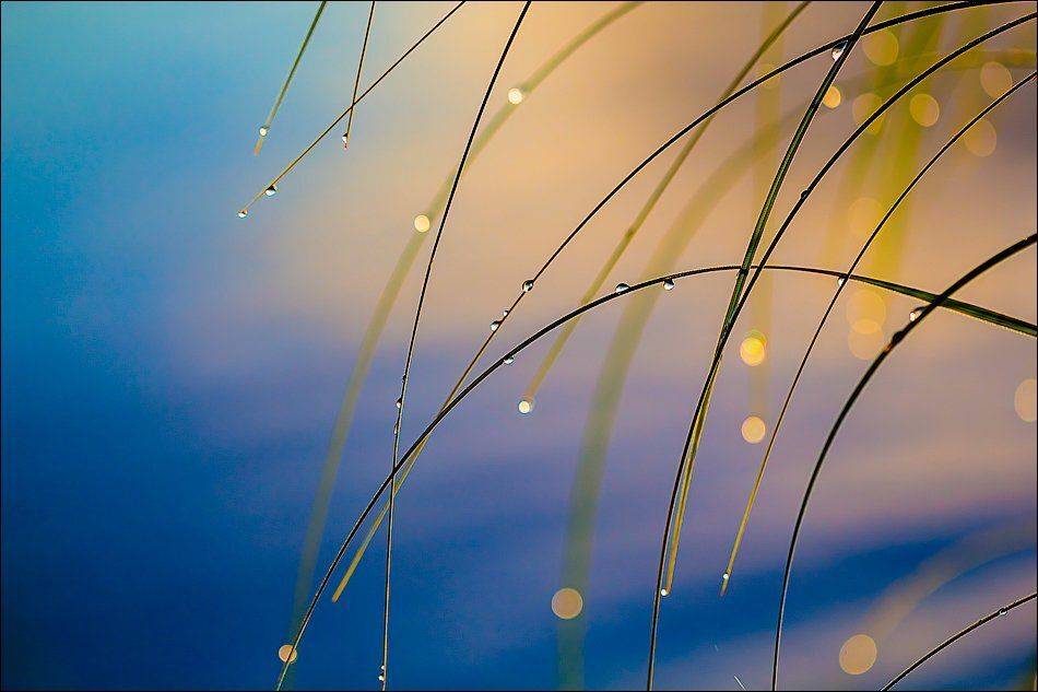 , Бурлов Андрей