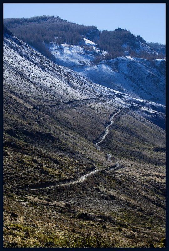 алтай, мажой, чуя, горы, багульник, ярославский, виталий Каньон Мажой фото превью