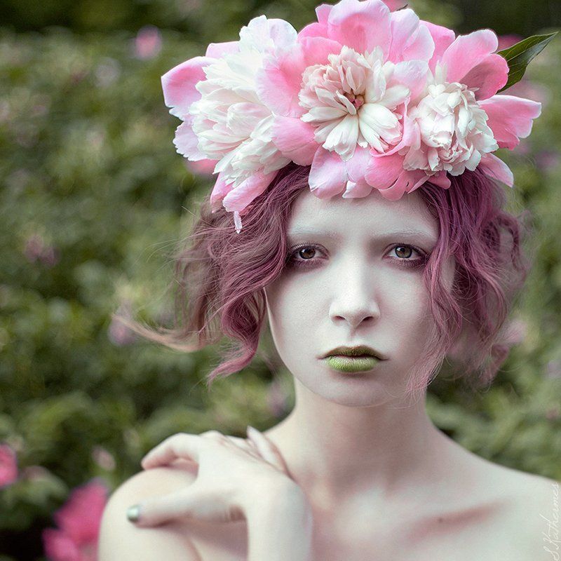 Flower фото превью