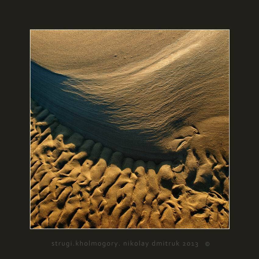 , николай дмитрук