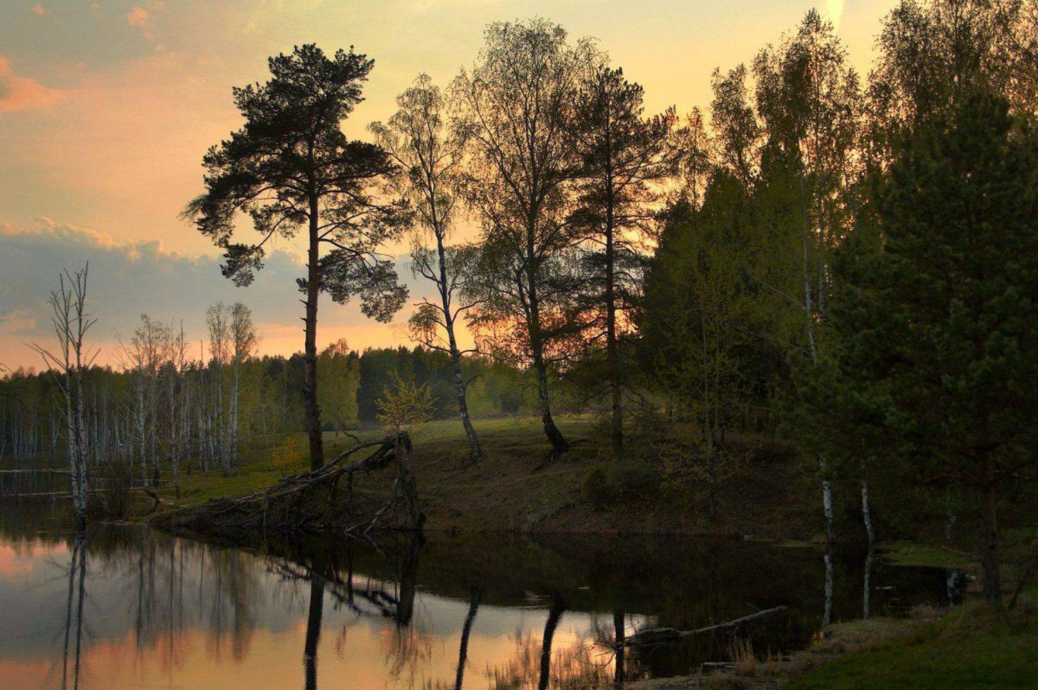 , Дмитрий Алексеев