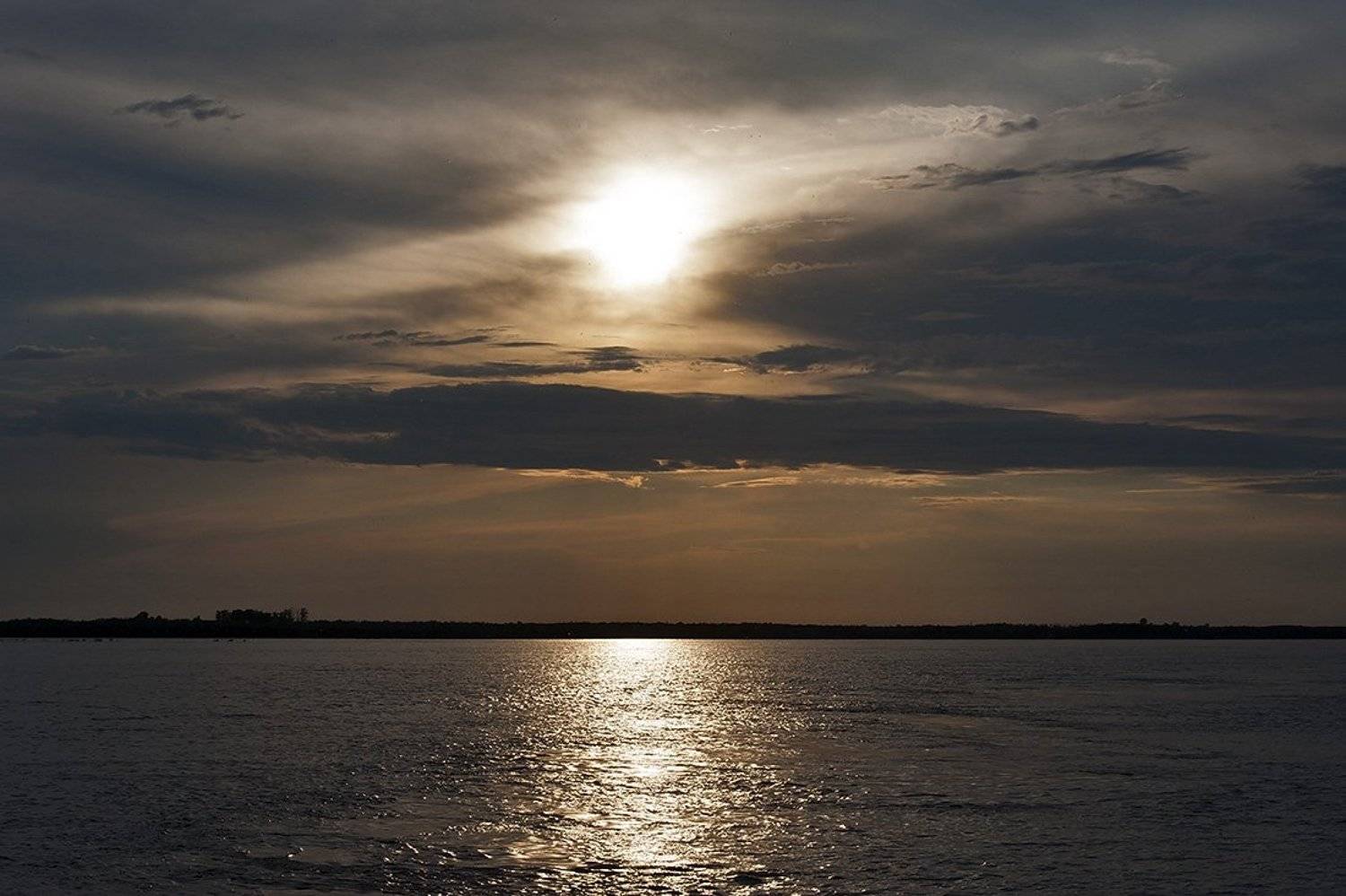 , Vladimir Gorbachev