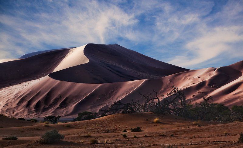 Утренний шелк фото превью