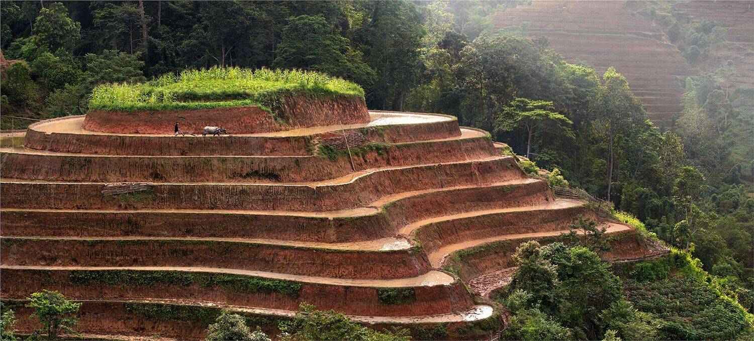 вьетнам, рисовые, террасы, Yury Pustovoy (artphoto-tour.com)