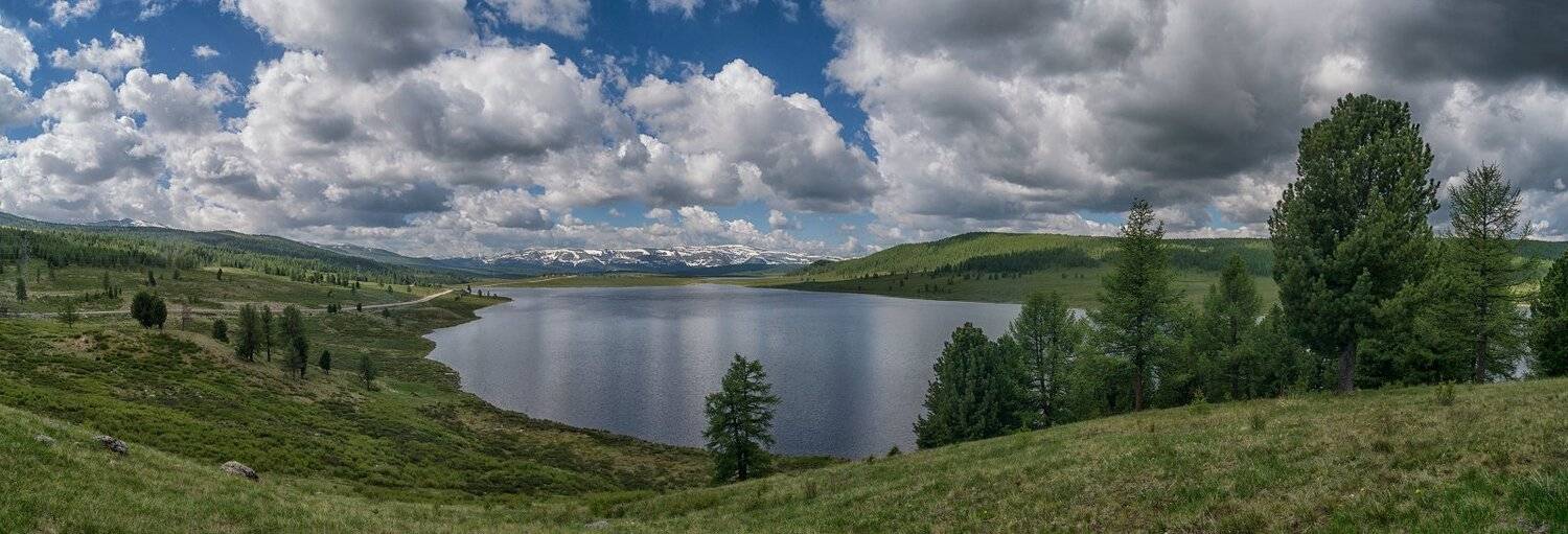 , Николай Ляпин