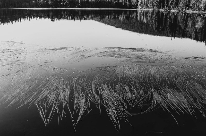 Озеро фото превью