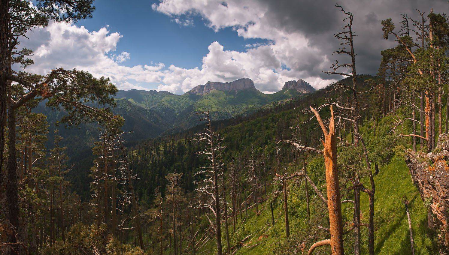кавказ, лето, горы, ачешбок, Николай Мысливцев