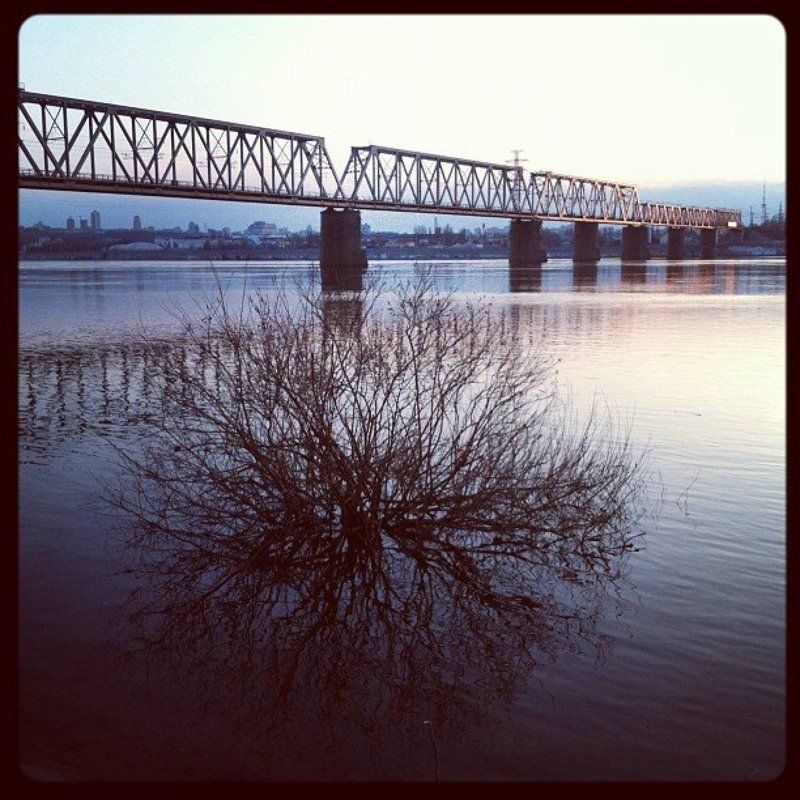 * * * фото превью