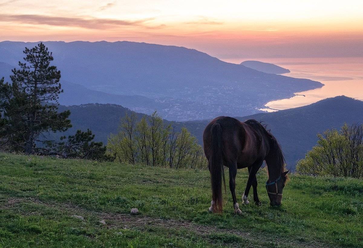 , Игорь Мелекесцев