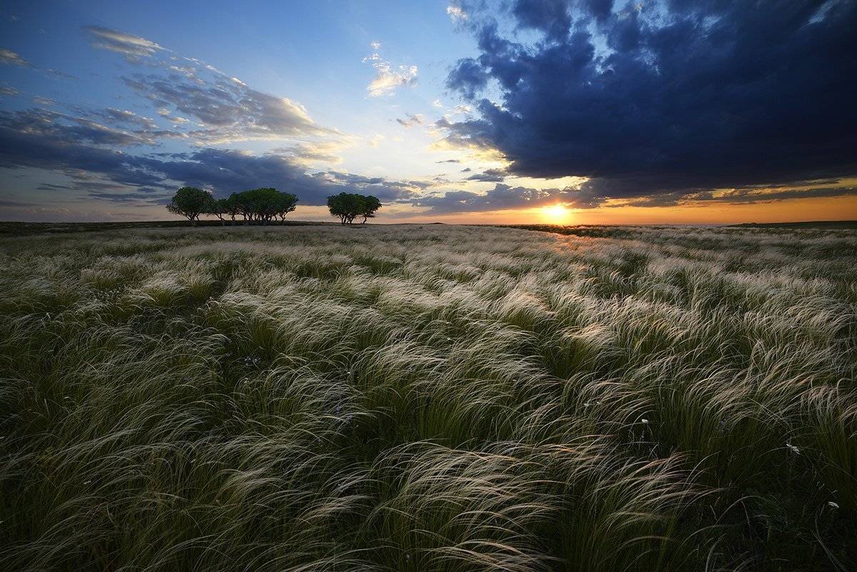 , Дeнис Бoдрoв