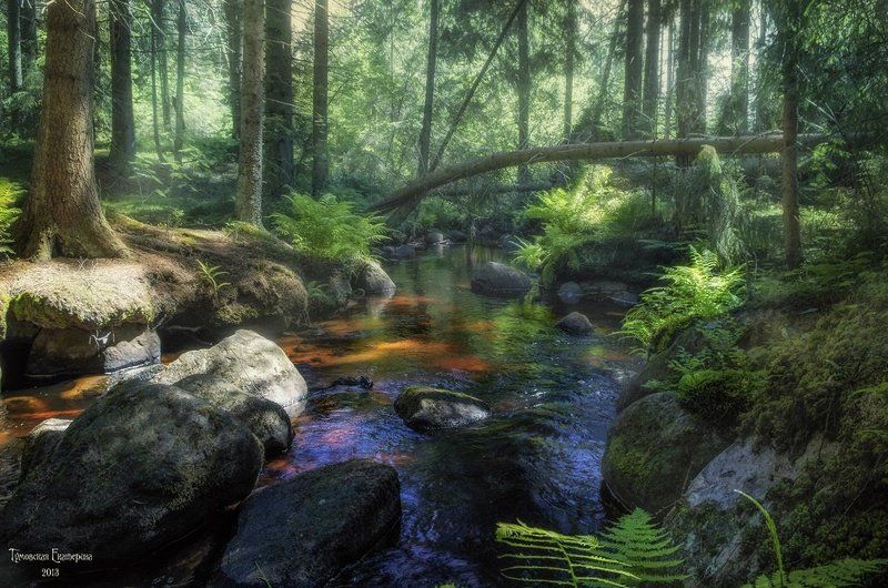 Снова и снова возвращаюсь сюда... фото превью
