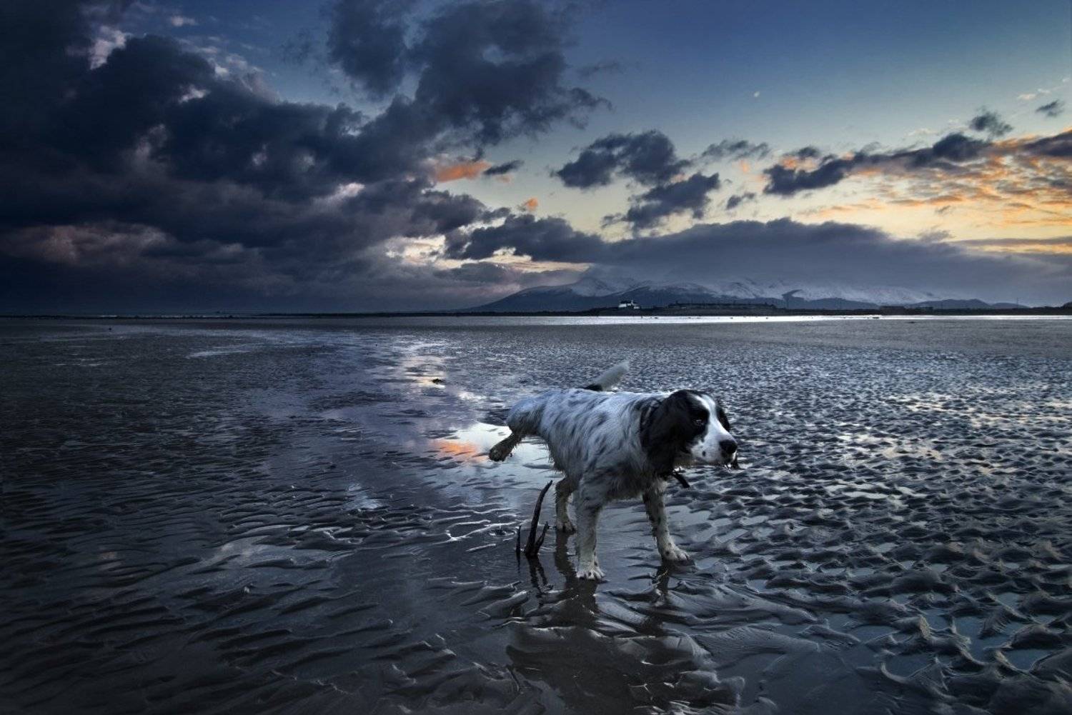 , Emilis Baltrusaitis