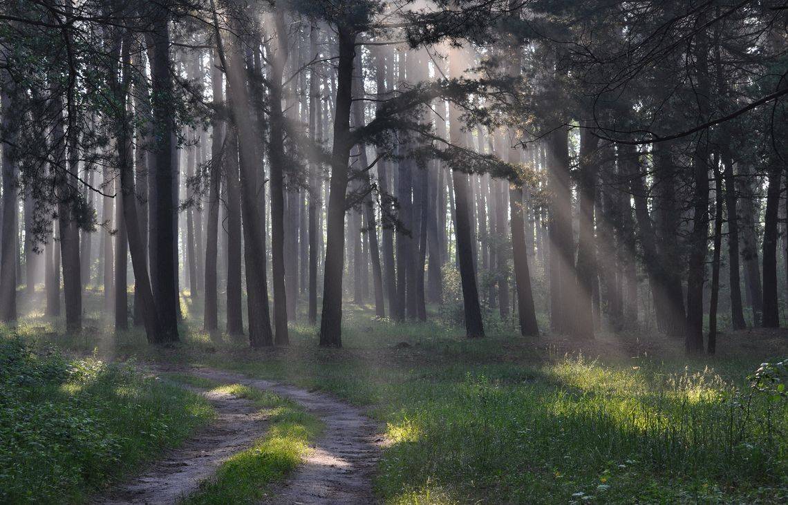 , Володимир Карчевський