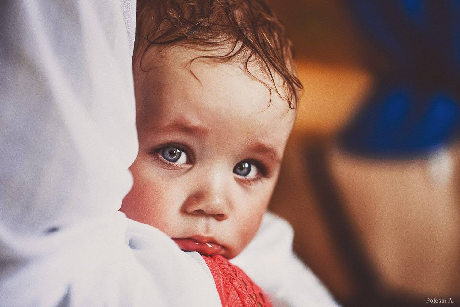 , Полосин Александр