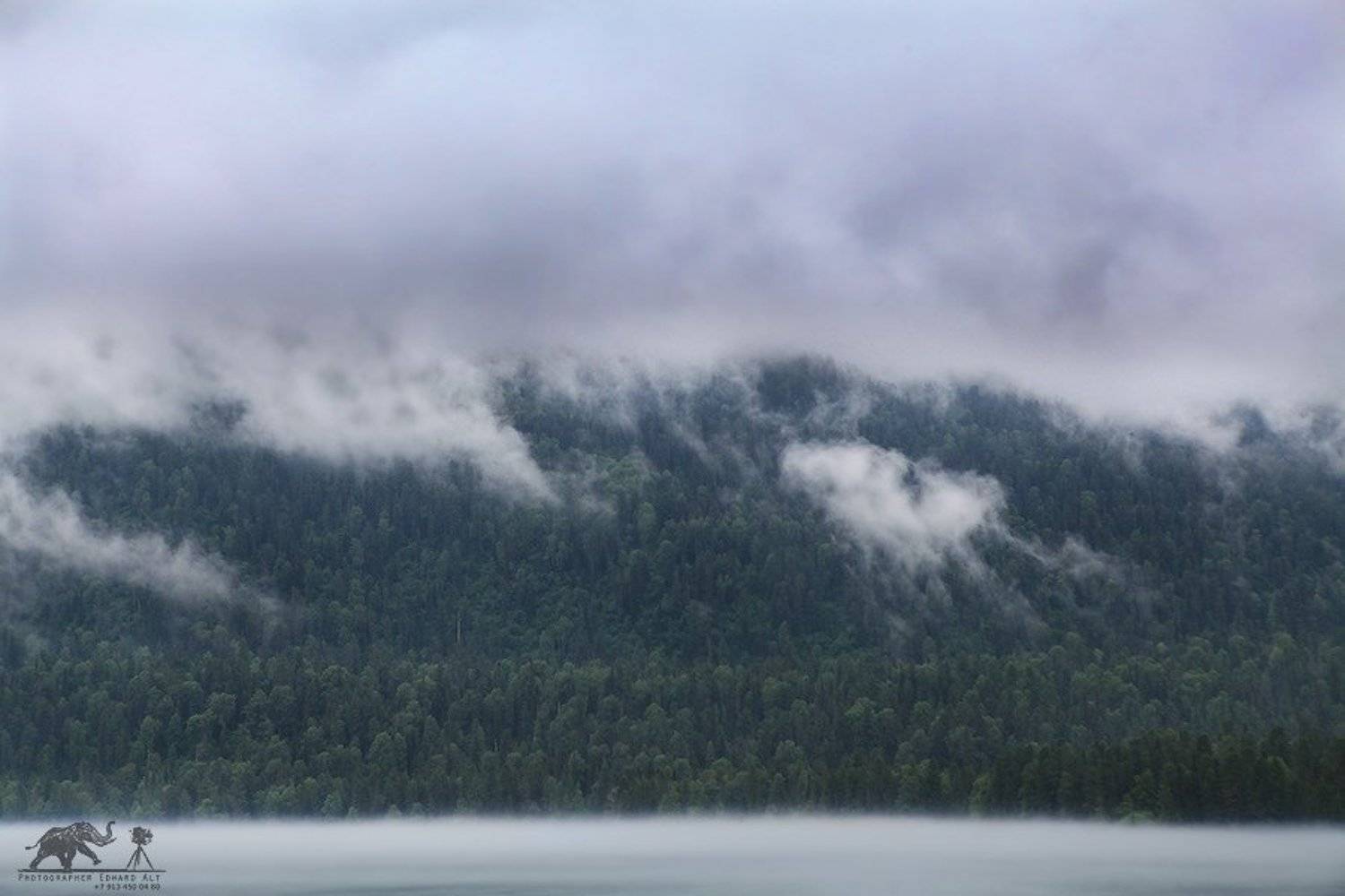 , Эдуард Альт