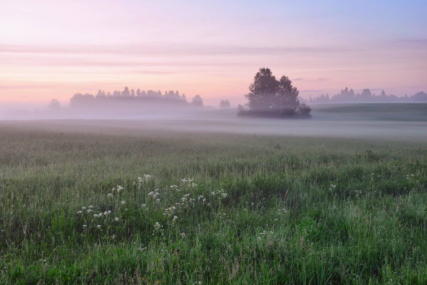 , Максим Евдокимов