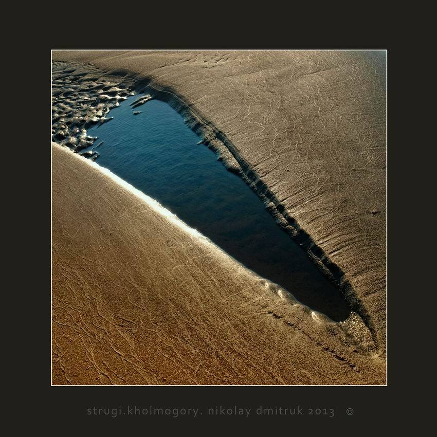 , николай дмитрук