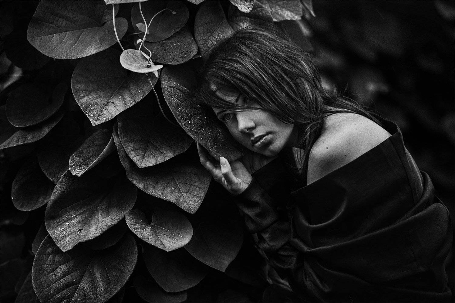 портрет,арт,жанр,утро,киев,аркадий курта, Аркадий Курта