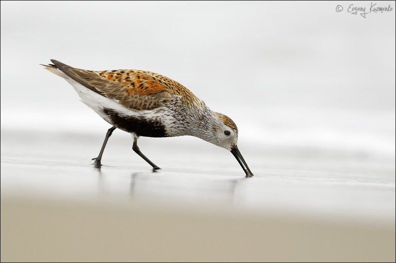 Подборка на \