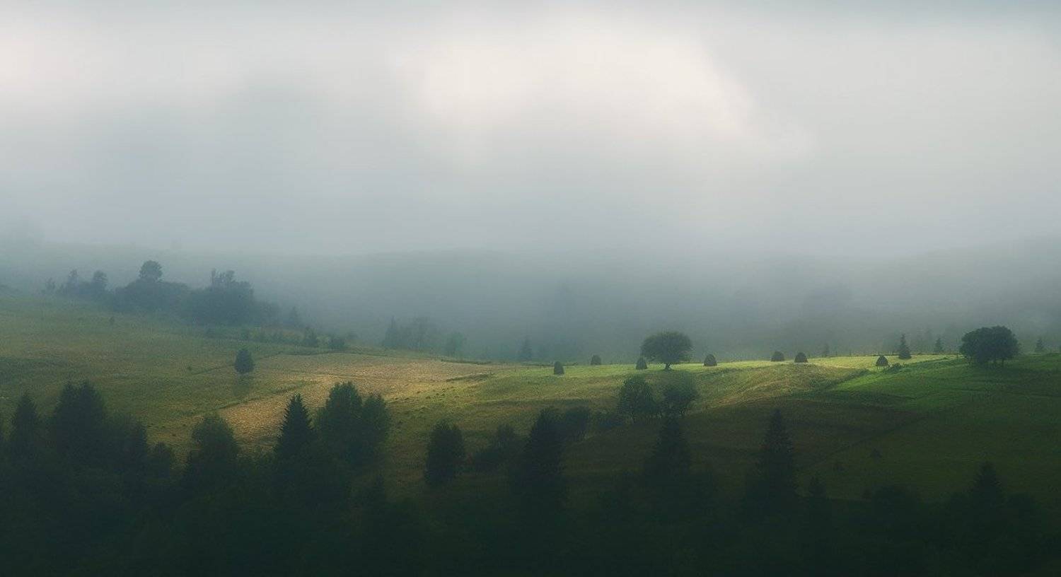 , Денис Кривой