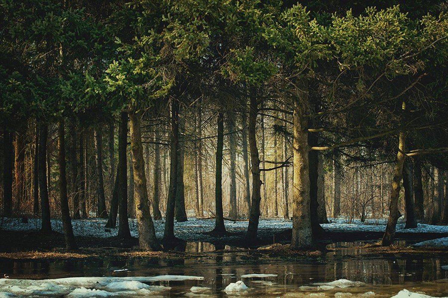 , Бабинцева Мария