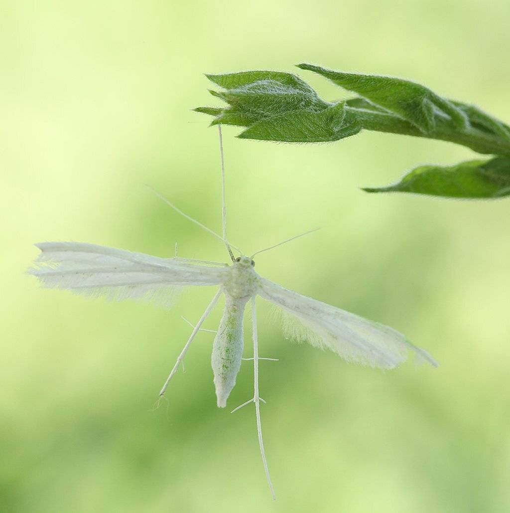 , Сергей Таланов