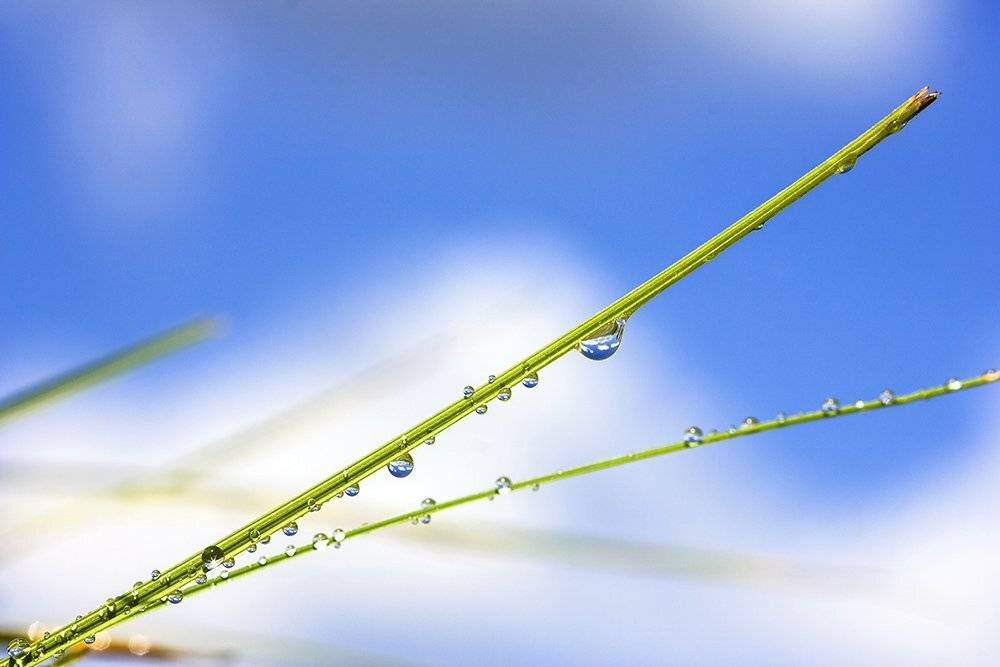 , Александр Кожухов