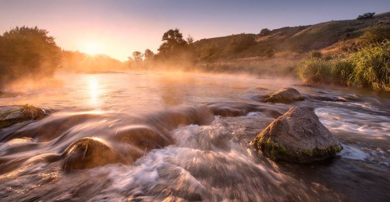 Золото Кальмиуса фото превью