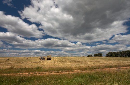 Сбор рулончиков
