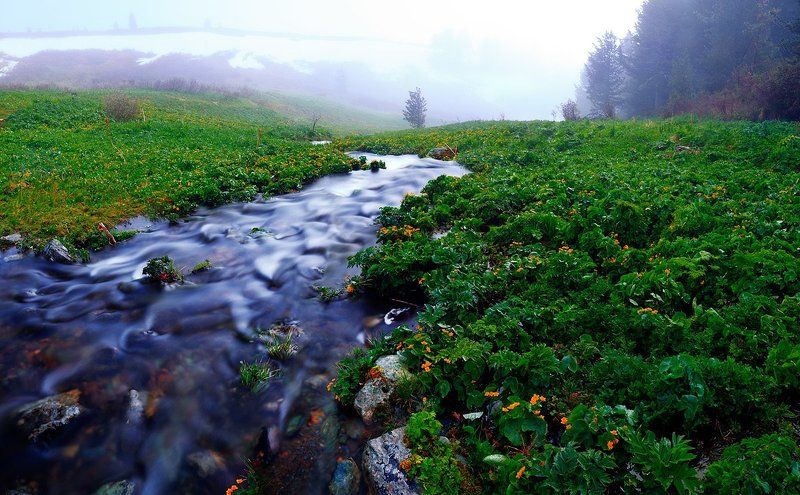 Горный ручей фото превью