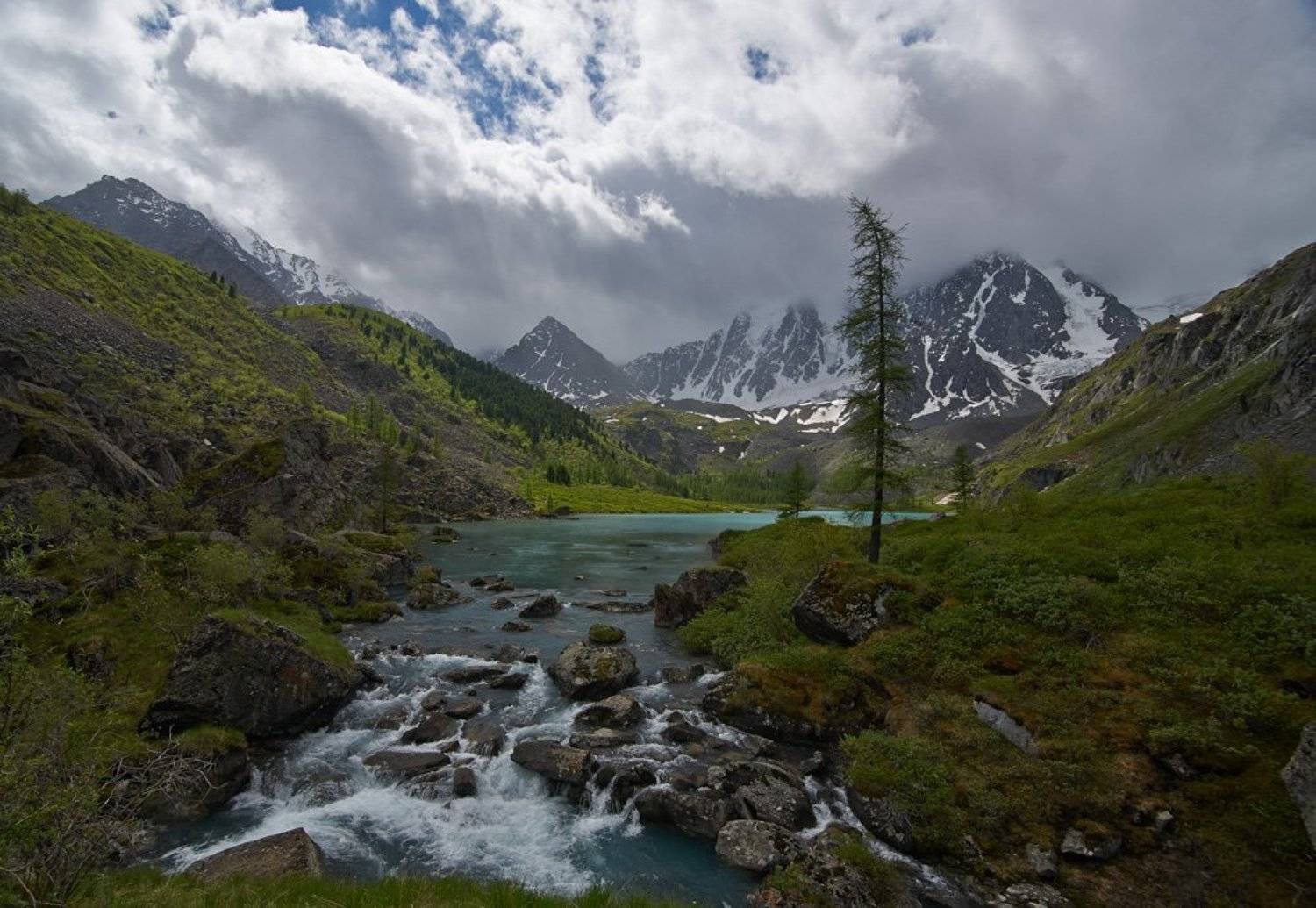 , Юра Тараник