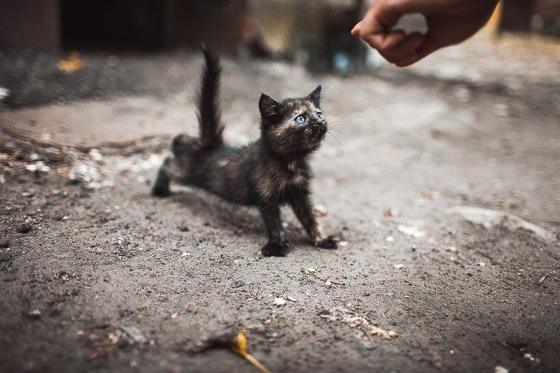 morning exercises фото превью